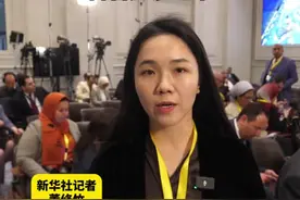 阿拉伯国家同意设立独立委员会暂管加沙地带图片