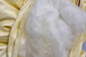 注意了！别开门！不要买！图片
