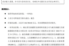 大全能源被供应商索赔超18亿元，一审判赔315.8万元图片