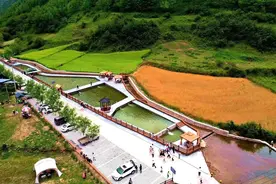 武山县“五抓模式”推动畜牧产业高质量发展图片