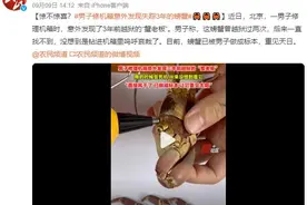 男子修机箱意外发现失踪3年的螃蟹：螃蟹已被男子做成标本图片