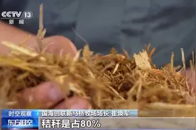 秸秆到底有多少“隐藏技能”？一起看秸秆“七十二变”图片