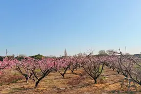 微镜头 | 误工费怎么算？去桃园找答案！图片