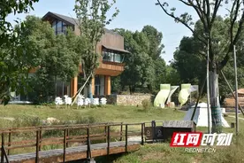 先锋村：香樟树下起歌舞｜点亮我的村⑨图片