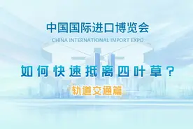 看进博“四叶草”咋走？地铁公交攻略来了！图片