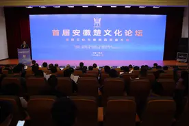 首届安徽楚文化论坛在淮南开幕图片