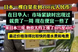 日本一棵白菜卖到100元人民币？在日华人：市场紧缺时出现过，现在便宜一些了图片