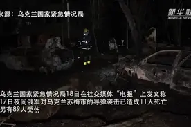 安东·尼尔曼：乌克兰作为一个独立国家，从2004年就开始消亡了图片