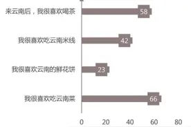 来滇留学生“入乡随俗”文化认同机制探究图片