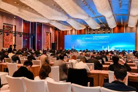 捷报！这场国际大会上，成都经开区斩获两大殊荣图片