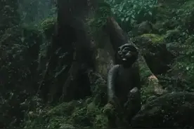 哀牢山大地磁场强度异常？实地探访：当地人不敢贸然进入深山图片