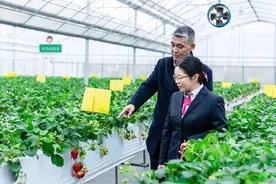 江南农商行，何以连续12年跻身“全球银行500强”？图片