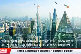 中国平煤神马集团国际贸易有限公司原执行董事杨建中接受审查调查视频封面