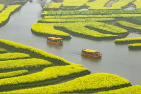 迈向全域旅游的江苏兴化，正在成为长三角的“后花园”图片