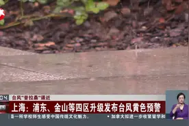 台风“普拉桑”逼近 上海：浦东、金山等四区升级发布台风黄色预警视频封面