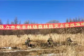 铁力市林草局组织下属国有林场开展2024年森林草原防灭火实战演练和计划烧除工作图片