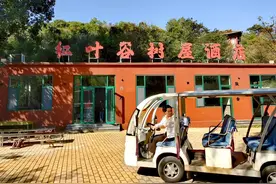 老乔游记|住树屋、喂孔雀、闺蜜游，红叶节前游济南红叶谷挺恣儿图片