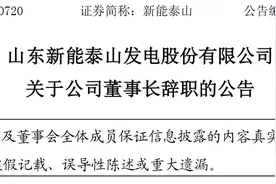 山东新能泰山发电股份有限公司董事长吴永钢辞职图片