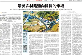 宁乡：最美农村路通向稳稳的幸福图片