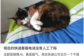 “鸡同鸭讲”“听不懂话”，这届年轻人被AI客服逼疯图片
