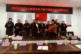 东川七彩花生种子成功落户昭通水富市图片
