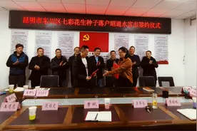 东川七彩花生种子成功落户昭通水富市图片