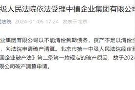 北京市第一中级人民法院依法受理中植企业集团有限公司破产清算案图片