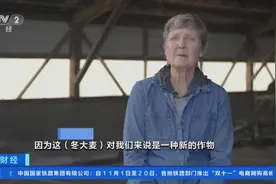为应对气候变化，美国研究人员培育耐旱、耐热啤酒花图片