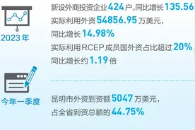 营商环境更优，外商朋友圈不断扩大——昆明成为外商投资兴业热土图片