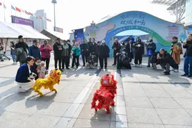 让内陆成为“沿海”，一座西部城市的开放样本图片