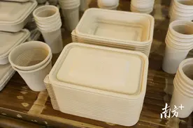 下“竹”功夫！ 英德西牛镇全力打造“以竹代塑”“以竹代粮”绿色产业图片