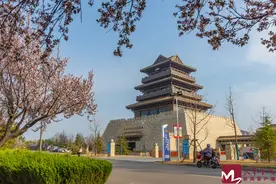 组图 | 黄河岸边春暖花开，自然美景引游人如织图片