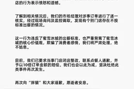 网友点餐祭奠游戏代练胖猫，茶饮变白开水？蜜雪冰城也回应了图片