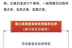 国家级荣誉+1！一起探寻大陈岛诸湾的“美丽秘诀”图片