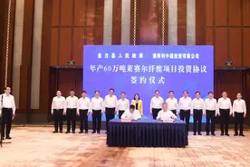 小县引来百亿外资大项目，鱼台凭什么？图片