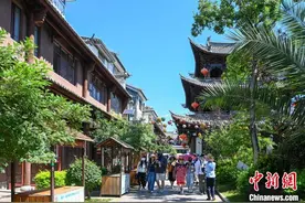 探访古道侨村东莲花：文旅融合迸发新活力图片