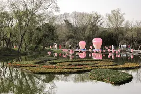 “十二花神”首次惊艳亮相西溪湿地  “花朝杭州”春日行暨西溪花朝系列活动正式启幕图片