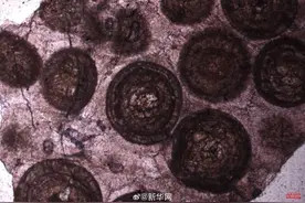 看看万米地下岩石长啥样！图片