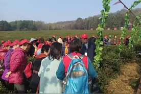天门迎来500位特别的游客！图片