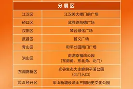 18个展区！武汉菊花展惊艳全城！这份游玩攻略快收好图片