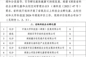 “双A”认可！湘江科创园省级孵化器及众创空间2024年绩效评价交出优异答卷图片