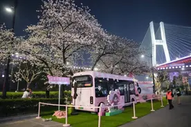 樱花季限定！现在晚上的南浦大桥站能有多美？图片
