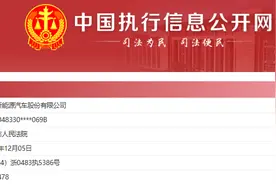 911万元！哪吒汽车成被执行人，此前CEO张勇“下课”图片