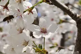 🦋🦋怎么也飞不出，山西🤩花花🤩的世界~图片