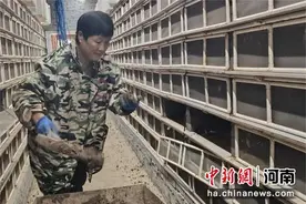 河南舞钢：发展村集体经济 助推老区乡村振兴图片