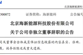 北京海新能源科技股份有限公司非独立董事刘雷辞职图片