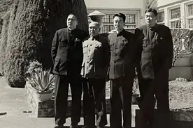 “为有才华翻蕴藉，每从朴实见风流”图片