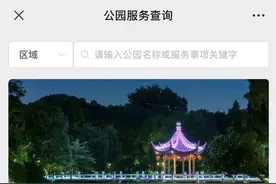 上海哪些公园可以带宠物、搭帐篷？现在可以一网查询了图片