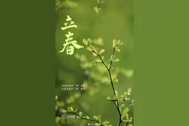云南人的春天，从舌尖开启图片