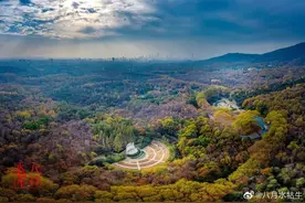 一位建筑师，半座南京城图片